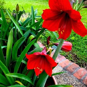 Meet your Posher, Linda